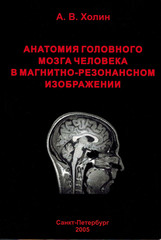 Анатомия головного мозга человека в магнитно-резонансном изображении