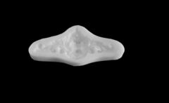 Силиконовый молд Орнамент № 033 -м