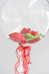 Шар гелиевый баблс с розами внутри