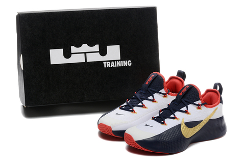 Nike LeBron TR 1 'USA Olympic' PE 