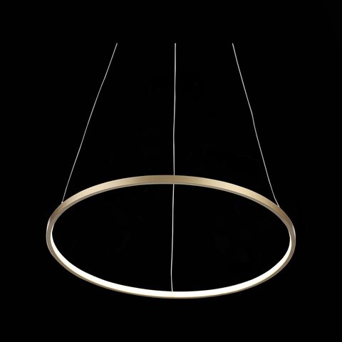 Светильник подвесной ST Luce Erto SL904.203.01
