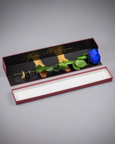 Роза Премиум в подарочной коробке(бордо) комплимент .Бутон синий.