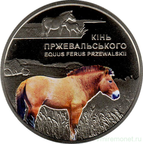 5 гривен 2021 - Лошадь Пржевальского (цветная) Украина