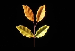 Силиконовый молд 