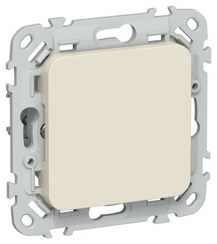 FLITE Заглушка с суппортом ЗГ-ФлСл сл IEK