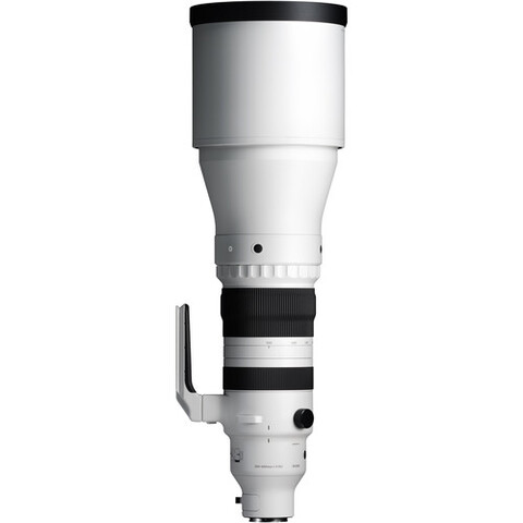 Sigma 300-600mm f/4 DG OS Sports Sony E