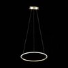 Светильник подвесной ST Luce Erto SL904.203.01