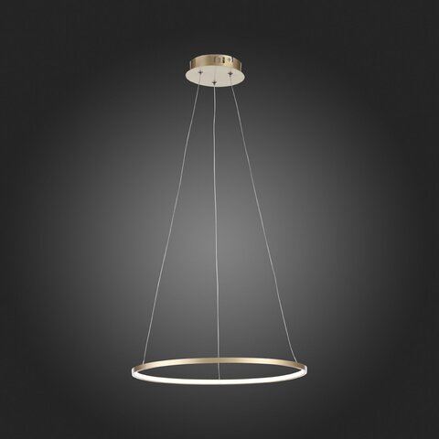 Светильник подвесной ST Luce Erto SL904.203.01
