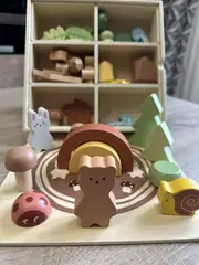 Развивающий набор 