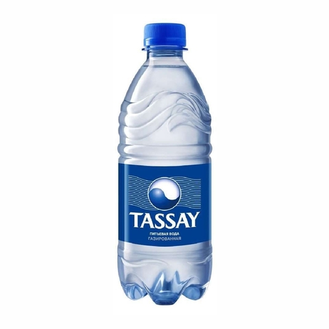 Вода питьевая TASSAY газ 0,5 л пл/б КАЗАХСТАН