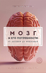 Мозг и его потребности 2.0. От питания до признания