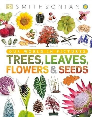 Trees, Leaves, Flowers & Seeds