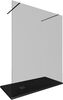 Allen Brau Infinity 3.21056.BA.T Душевая перегородка, цвет: cеребро браш