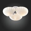 Люстра потолочная ST Luce Conglia SL534.502.03