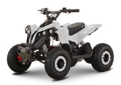 Детский электрический квадроцикл RiverToys MARK 1200W