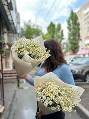 «Букет ромашек»