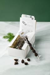 Цукаты "Сосновый шашлычок" на палочке / шоу-бокс / 210 гр / 10 шт / Солнечная Сибирь