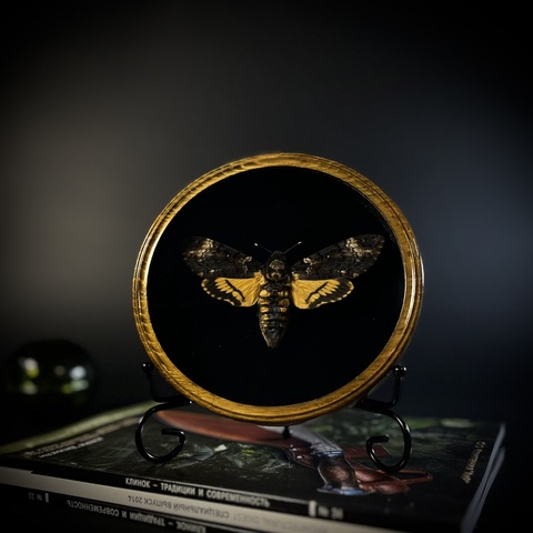 Бражник «Мёртвая голова»