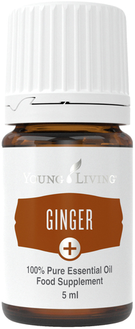 УЦЕНКА (-80%) Ginger+ 5ml