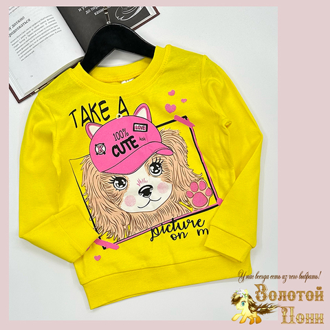Свитшот хлопок д (6-9) 251128-SSD154