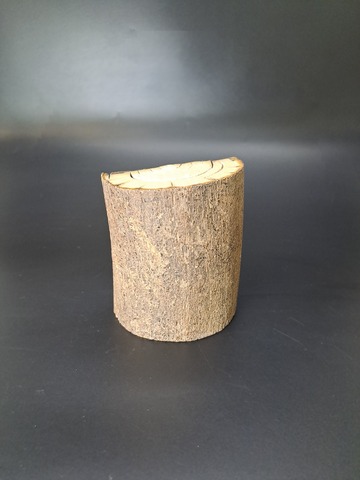 Бивень мамонта для коллекции и поделок