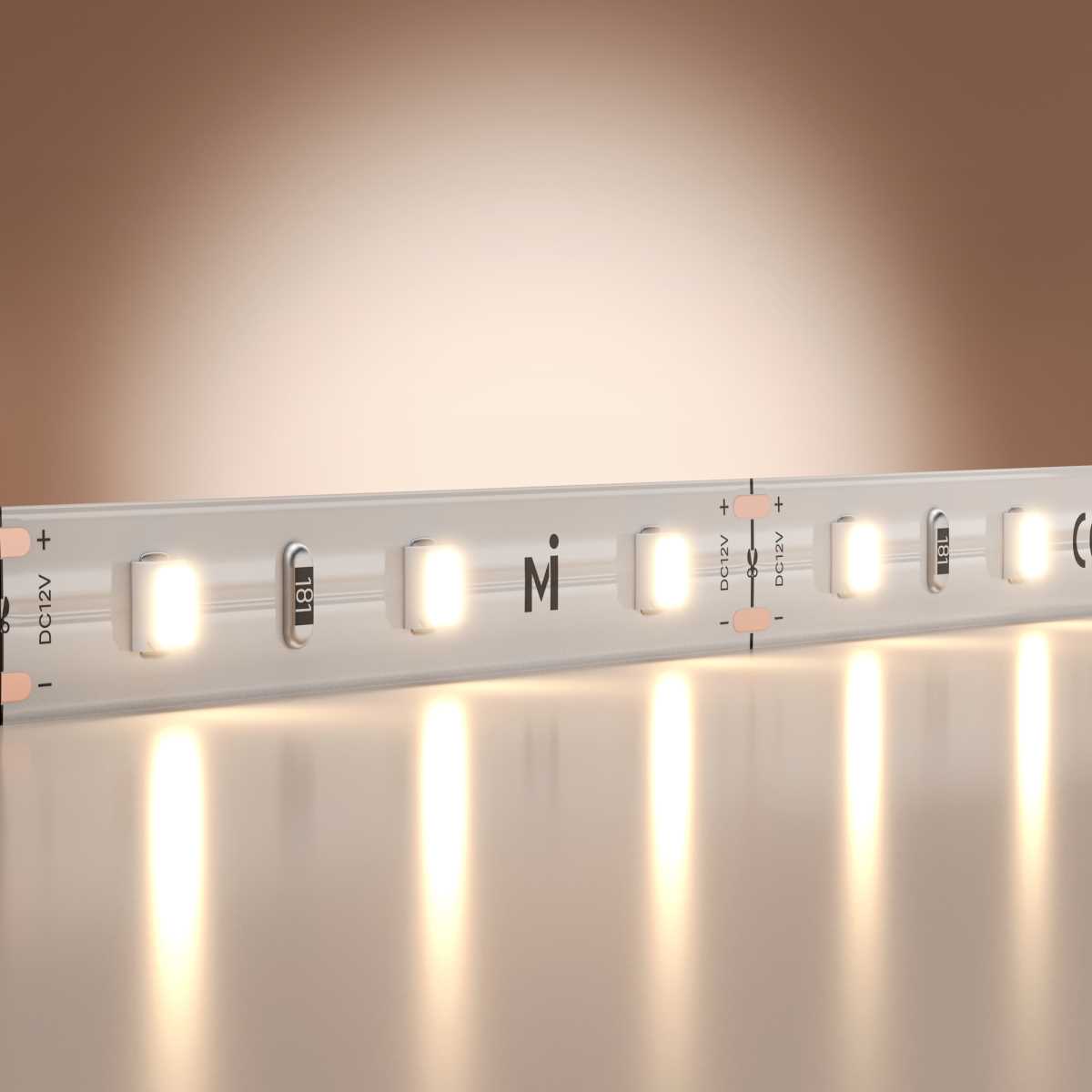 Светодиодная лента Maytoni Led Strip 201163