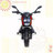 Moto Sport (DLS01)