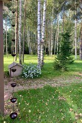 Дождевая цепь 