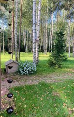 Дождевая цепь 