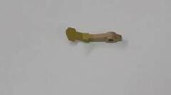 Палец отделения Xerox WCP 4110/4112/4595/D95/D110/D125