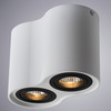 Светильник точечный Arte Lamp Falcon A5644PL-2WH