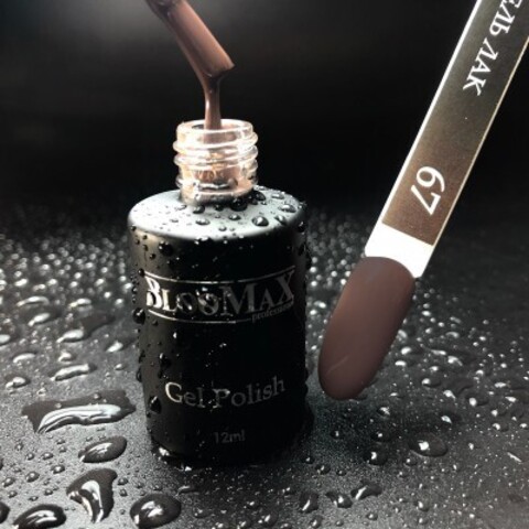 Гель-лак BlooMax 67