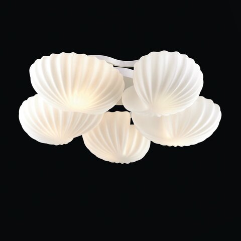 Люстра потолочная ST Luce Conglia SL534.502.05