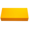 Пластиковый кейс для брусков Edge Pro (6 брусков)