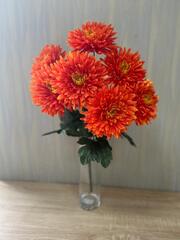 лучшие предложения