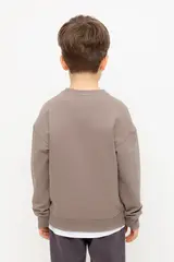 джемпер  для мальчика  КР 302392/коричневый