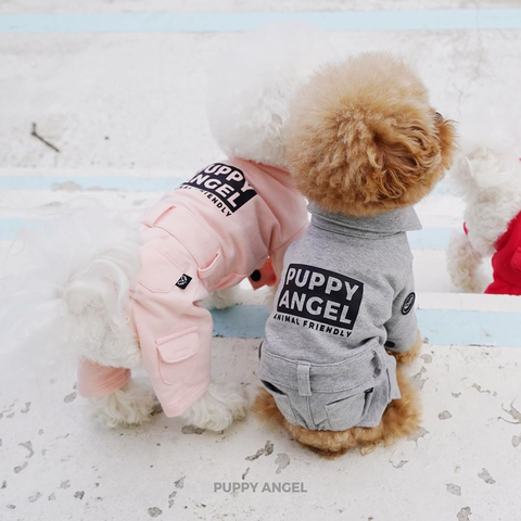 473 Спортивный костюм "Puppy Angel"