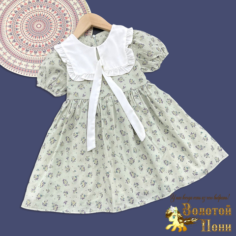 Платье хлопок д (2-6) 260410-S2043