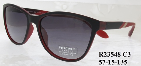 R23548