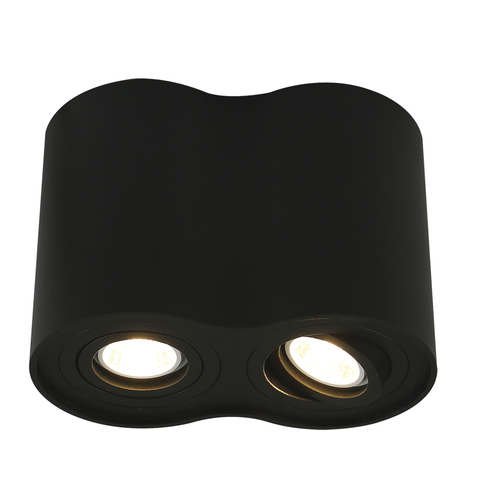 Светильник точечный Arte Lamp Falcon A5644PL-2BK