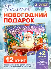 Большой новогодний подарок 2024 г 12 книг