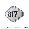 Номерок на дверь квартиры 817, для кабинета, офиса, шильдик 9 х 7 см, серебристый, Айдентика Технолоджи