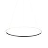 Светильник подвесной ST Luce Erto SL904.413.01