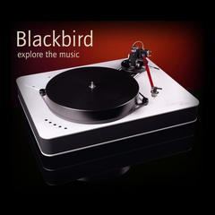 Dr. Feickert Analogue Blackbird (DFA-120, brass inserts)