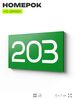 Номер на дверь 203, табличка на дверь для офиса, квартиры, кабинета, аудитории, склада, зеленая 120х70 мм, Айдентика Технолоджи
