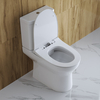 Унитаз-компакт безободковый BelBagno STEAM BB130CPR + BB130T