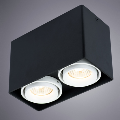 Светильник точечный Arte Lamp Pictor A5655PL-2BK