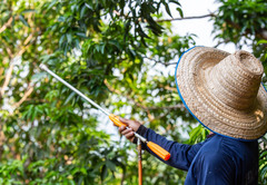 Обрабатываем сад медным купоросом и карбамидом