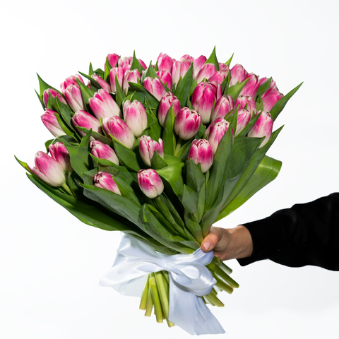 Букет 51 розовый тюльпан