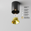 Потолочный светильник Maytoni Alfa led C064CL-8W3K-RD-B